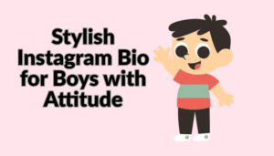 Best Instagram Bio Attitude boy & Unique (2025)