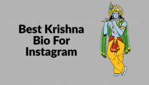 Best Krishna Bio For Instagram 