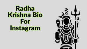 Best Dwarkadhish Bio For Instagram || Krishna Bio 2025