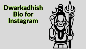 Best Dwarkadhish Bio For Instagram || Krishna Bio 2025