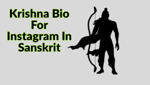Best Dwarkadhish Bio For Instagram || Krishna Bio 2025