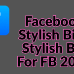 Facebook Stylish Bio | Stylish Bio For FB 2025