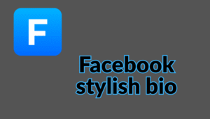 Facebook Stylish Bio | Stylish Bio For FB 2025