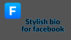 Facebook Stylish Bio | Stylish Bio For FB 2025