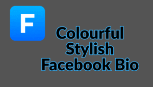 Facebook Stylish Bio | Stylish Bio For FB 2025