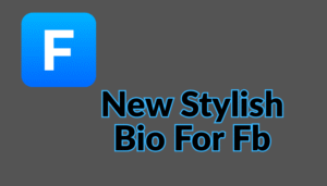 Facebook Stylish Bio | Stylish Bio For FB 2025