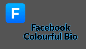 Facebook Stylish Bio | Stylish Bio For FB 2025
