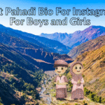 Best Pahadi Bio For Instagram For Boys and Girls