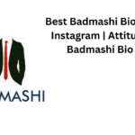 Best Badmashi Bio For Instagram | Attitude Badmashi Bio