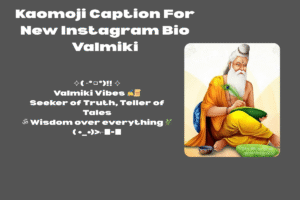 New Instagram Bio Valmiki || Royal Valmiki Bio