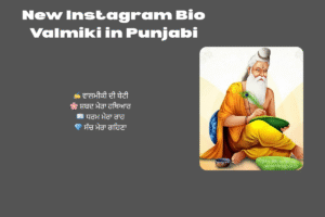 New Instagram Bio Valmiki || Royal Valmiki Bio