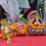 Popular Khatu Shyam Ji Bio For Instagram In Hindi 2025