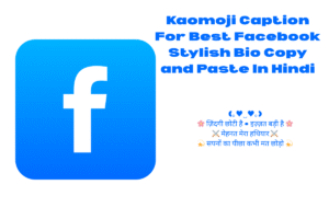Best Facebook Stylish Bio Copy and Paste In Hindi