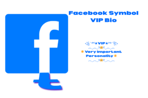 Best Facebook Stylish Bio Copy and Paste In Hindi