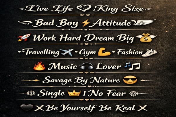 Instagram Bio for Boys Stylish Font