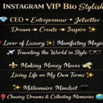 Instagram VIP Bio Stylish