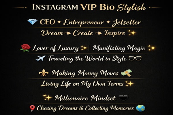 Instagram VIP Bio Stylish